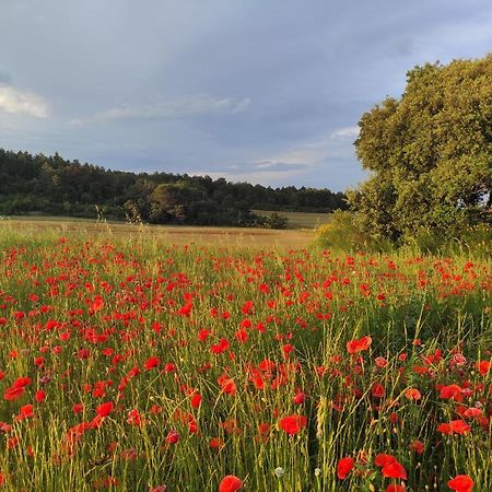 Gite A La Campagne, Proche Carcassonne Alairac Exterior foto