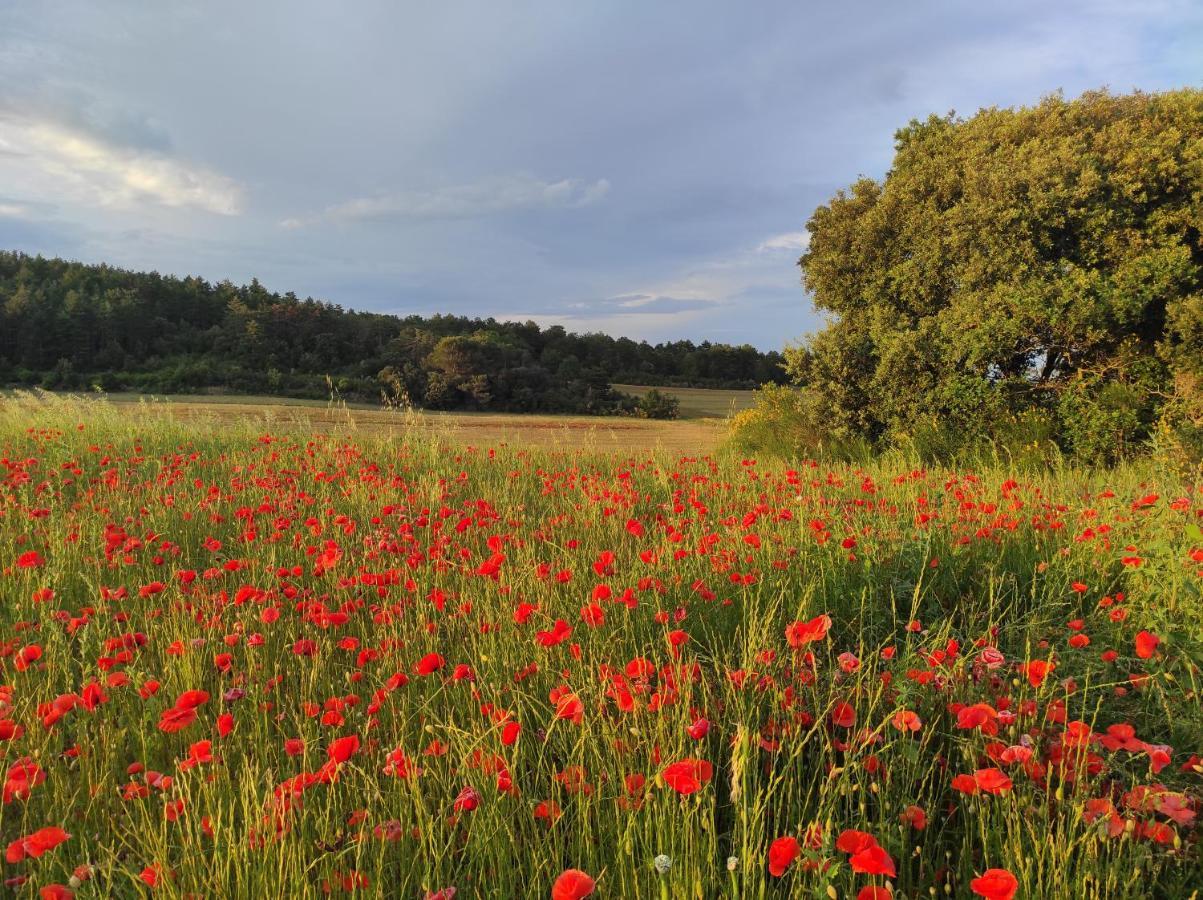 Gite A La Campagne, Proche Carcassonne Alairac Exterior foto